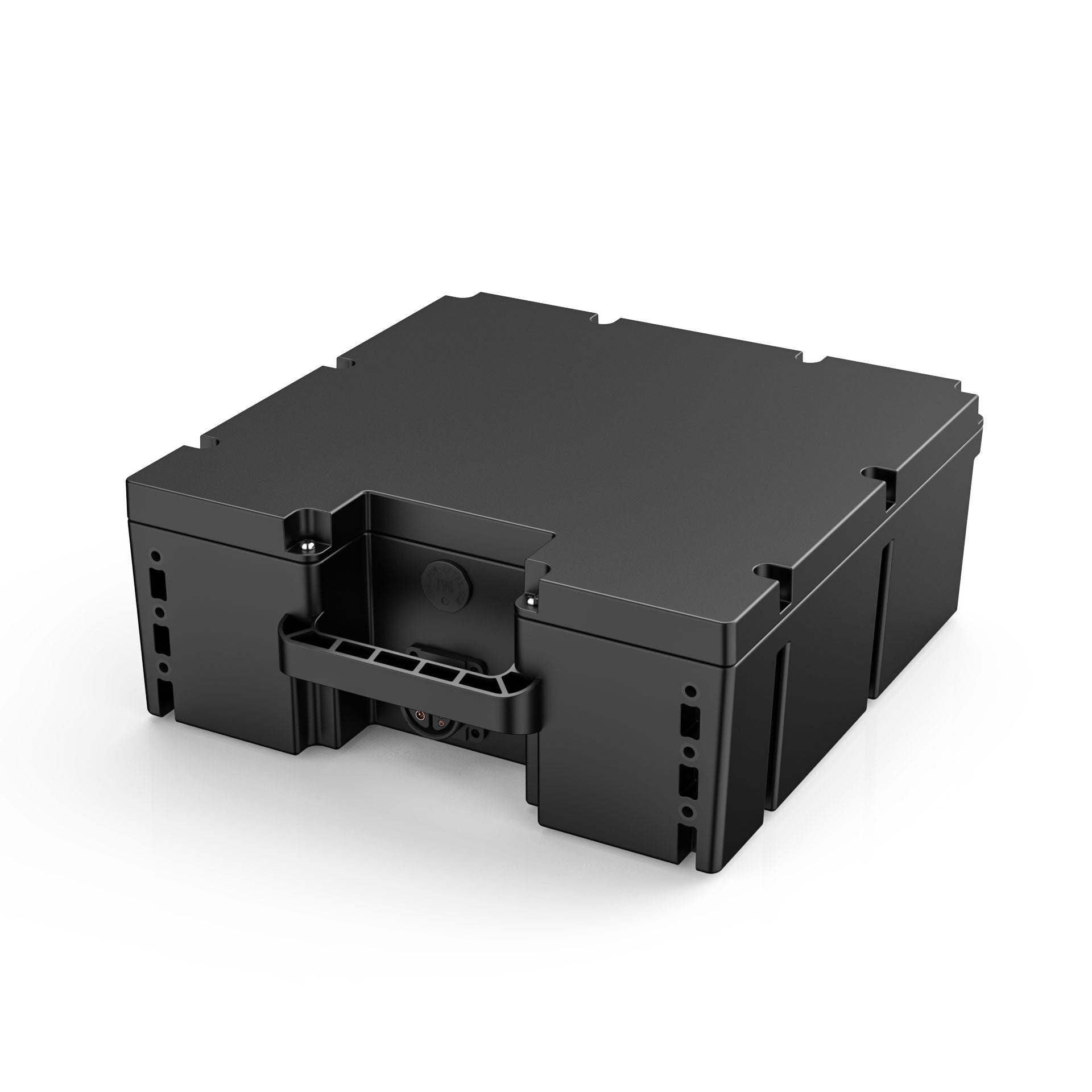 LifePO4 Battery